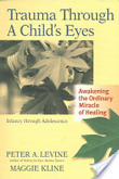 Trauma Through a Childs Eyes book cover