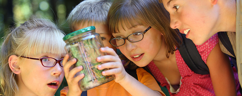 Kids at camp looking for bugs