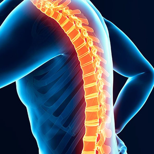 Spine highlighted in orange