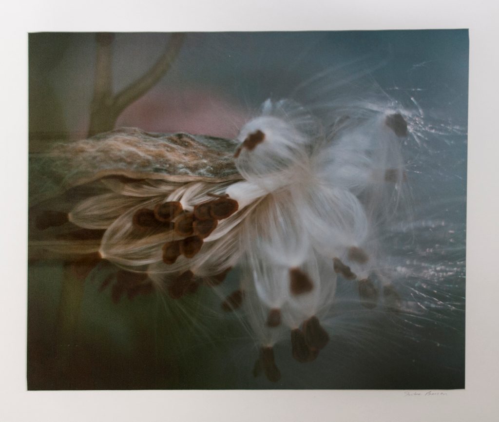 "Flower Pod" by Isadore Berson.