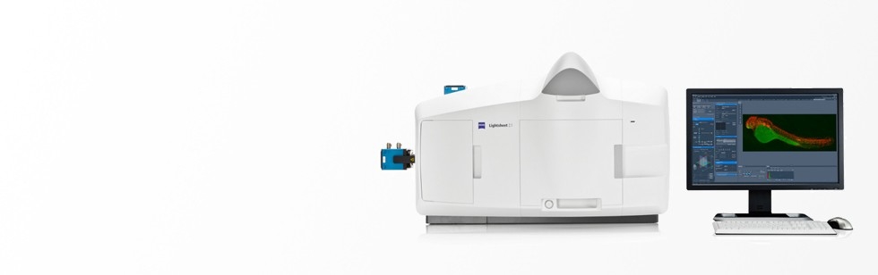 Zeiss Lightsheet