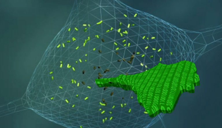 Software | Richard D. Berlin Center for Cell Analysis & Modeling