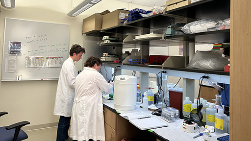 Two students working at the lab bench at CCAM