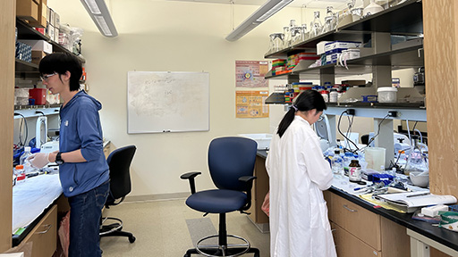 2 students working in the lab bench at CCAM.