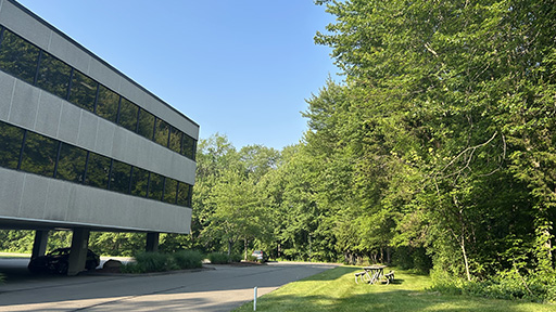 Outside CCAM Picnic Area showing building, trees and picnic table. Image by S. Sarbipour.
