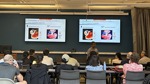 CCAM Seminar taking place with speaker and people in the audience.