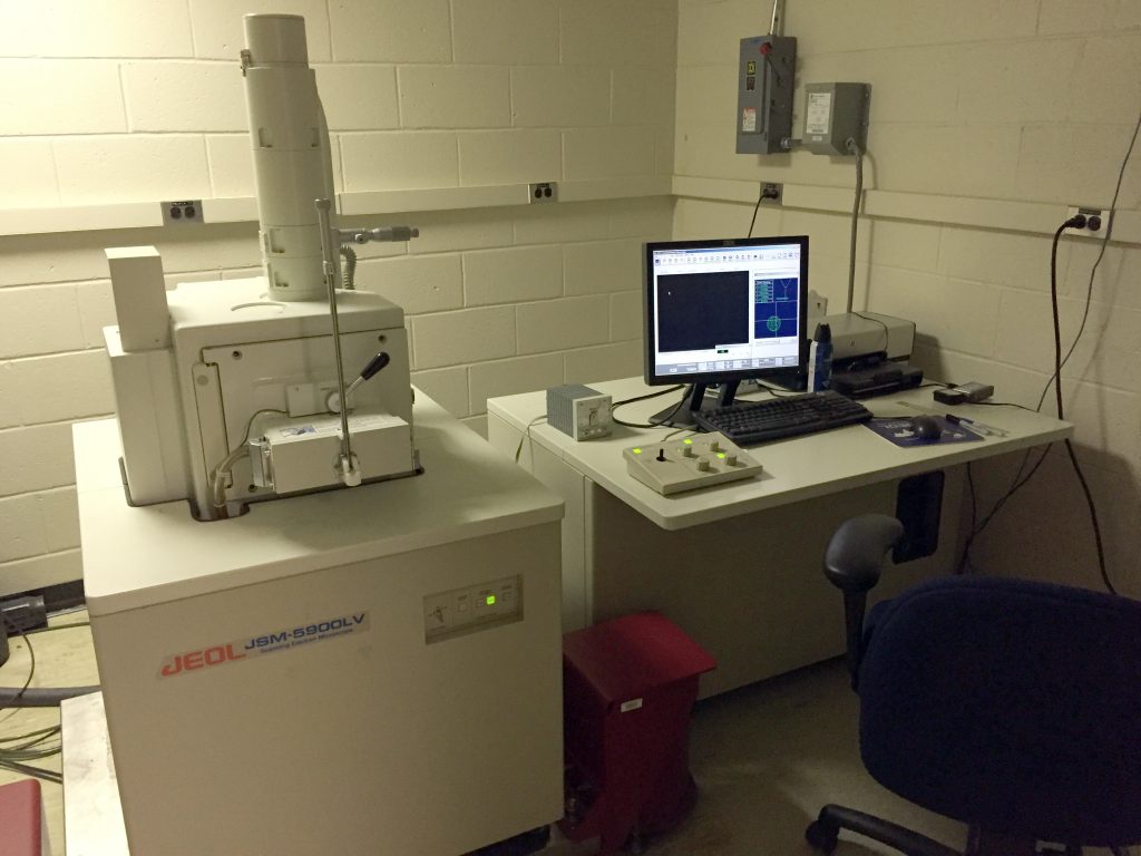 Personnel | Central Electron Microscopy Facility