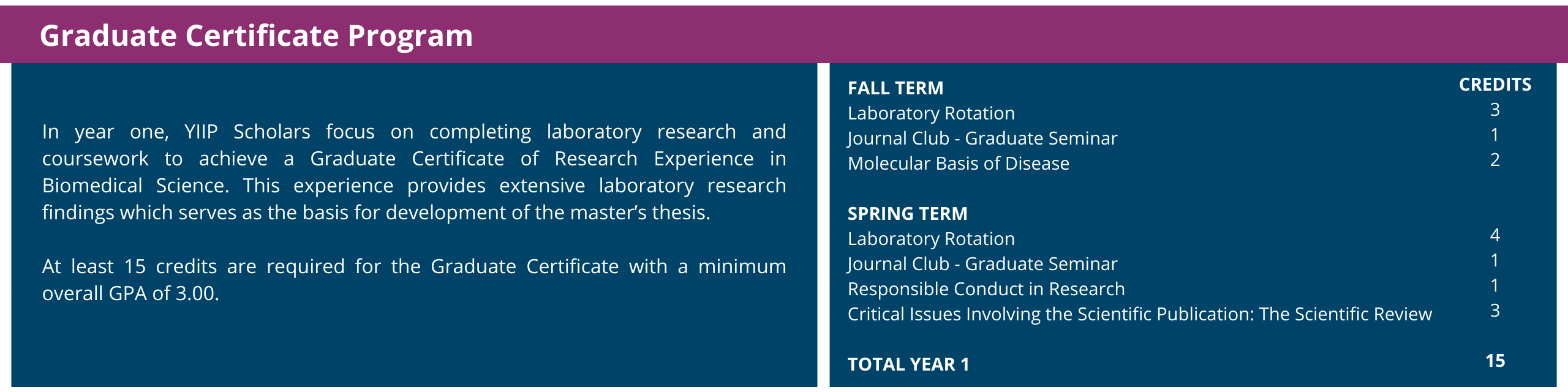 YIIP Year 1