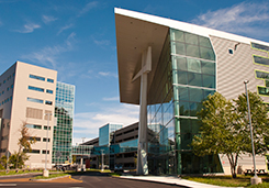 UConn Musculoskeletal Institute