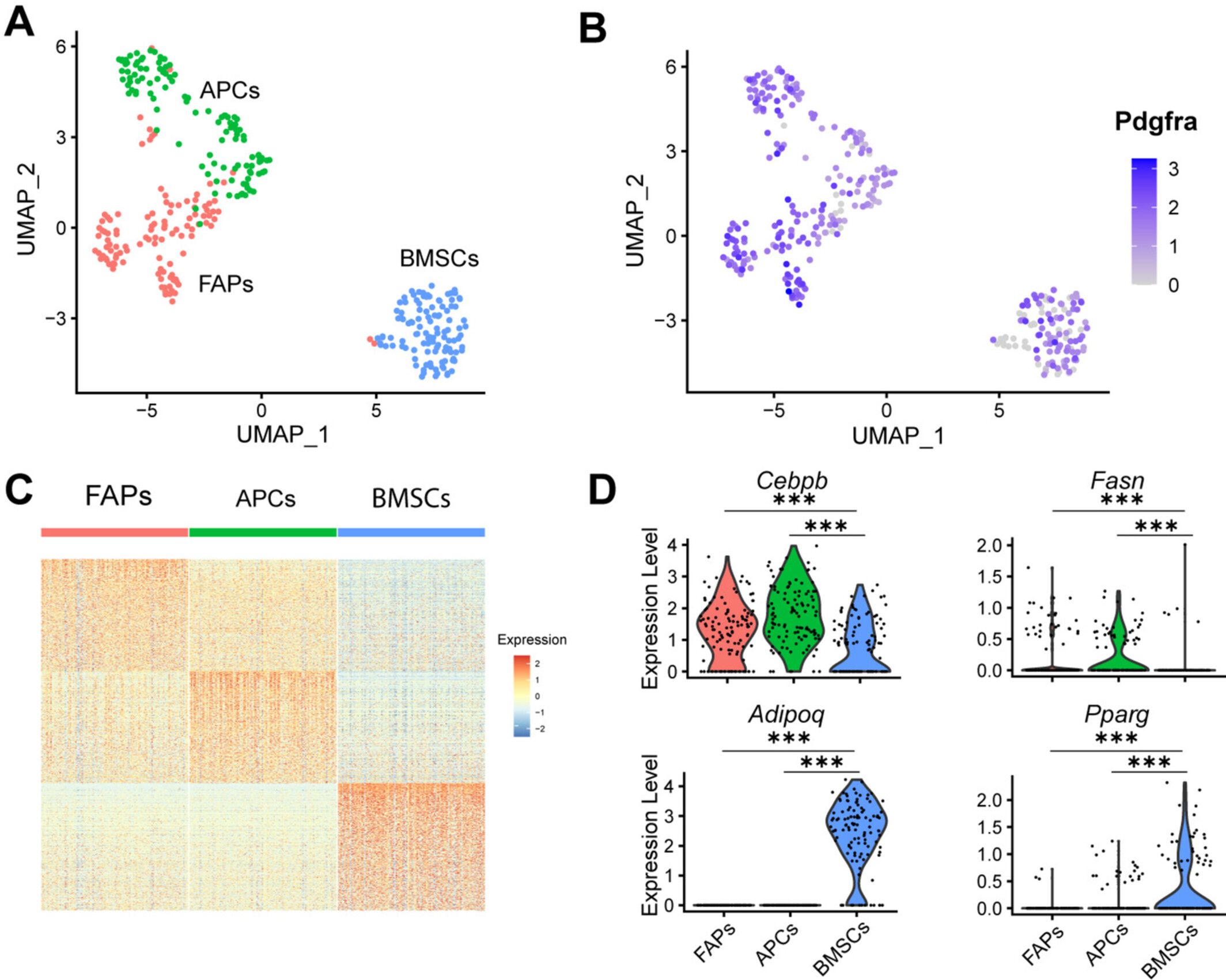 Single-cell transcriptomics data on cell types from fat, muscle, and bone