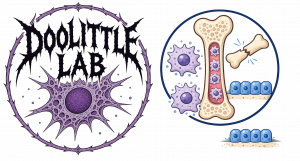 Doolittle lab logo with senescent cells, bones, and osteoblasts
