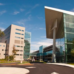 UConn Musculoskeletal Institute