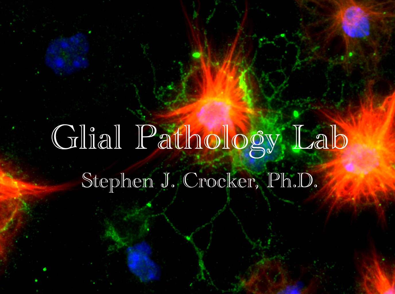 Glial Pathology
