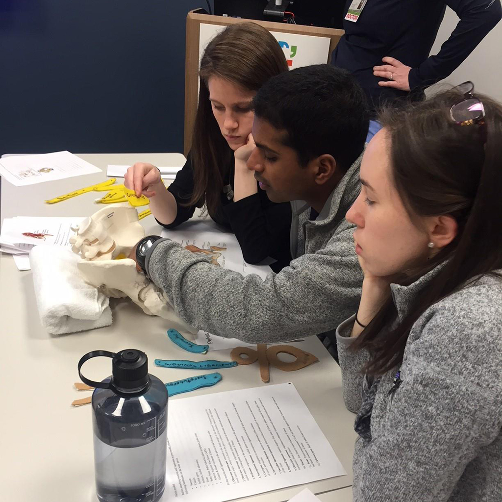 Interns working on a pelvic floor anatomy model