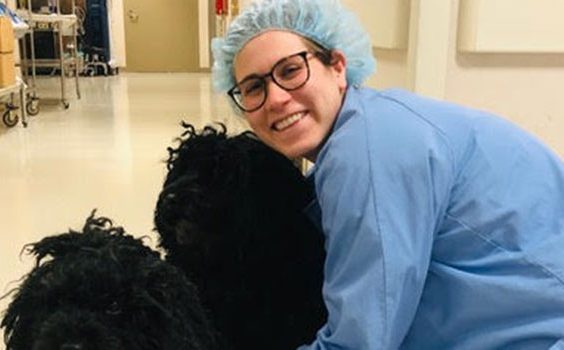 Therapy Dogs
