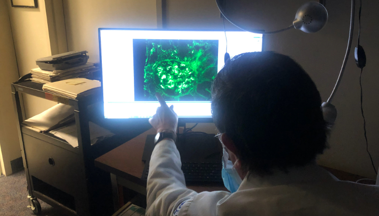 Microscope Conference related