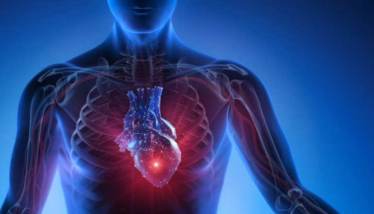 structured heart fellowship header