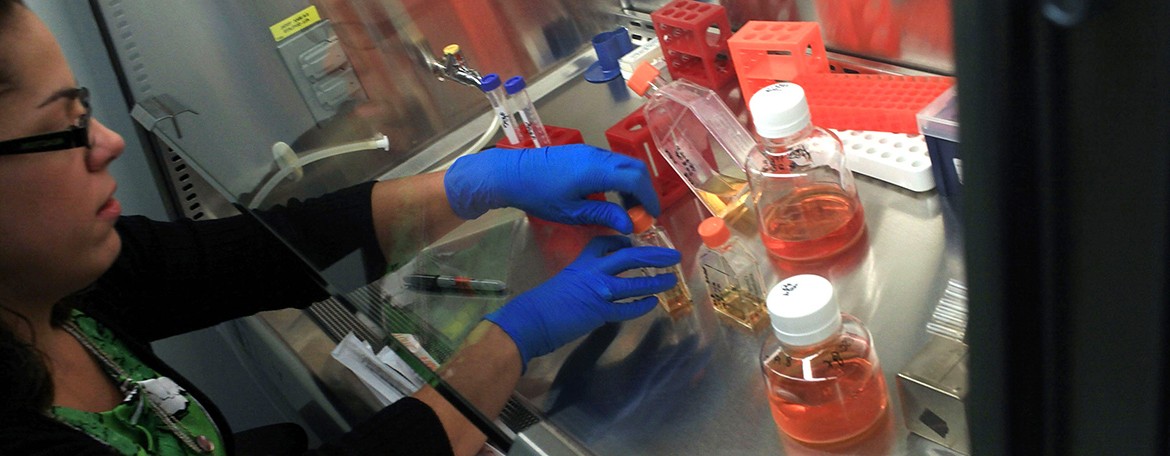 Martins-Taylor in the Stem Cell Lab