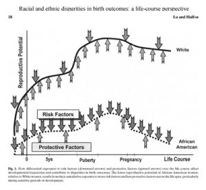 Racial and ethnic disparities in birth outcomes: a life-course perspective