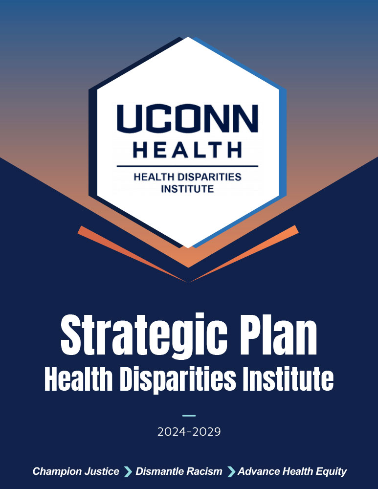 2024-2029 HDI Strategic Plan