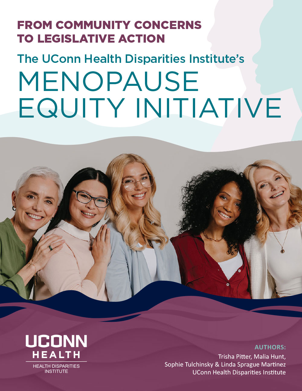 uconn_hdi_mei_report_4d-1