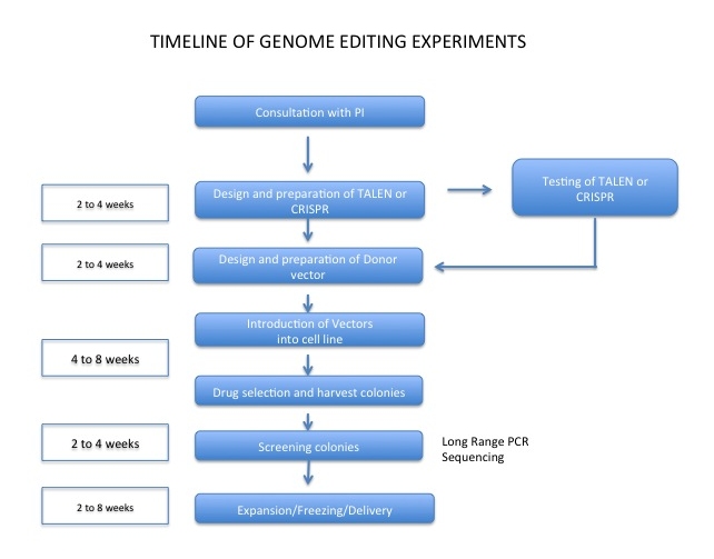 Timeline of genome editing experiments