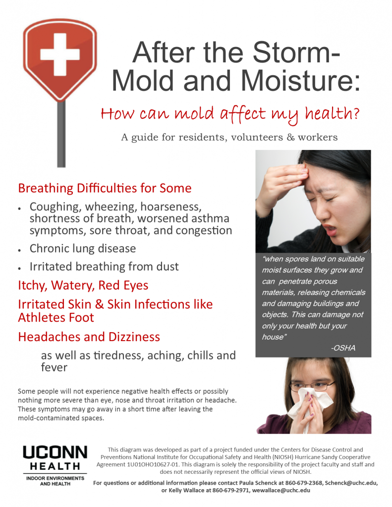 How Can Mold Effect My Health_9.22.15
