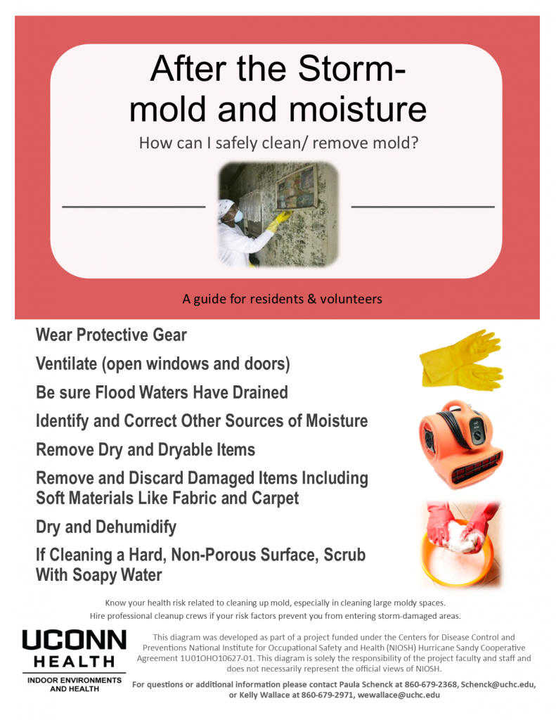 How can I safely clean and remove mold_9.22.15