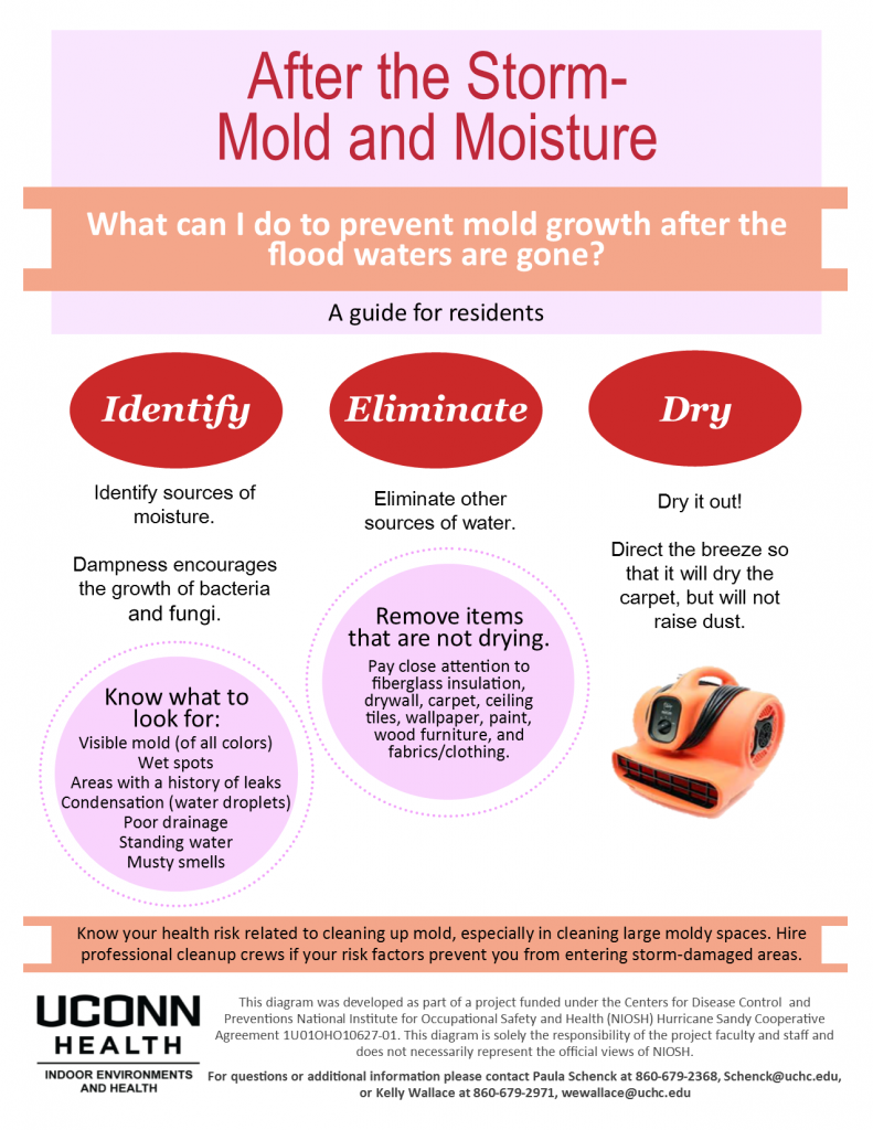What can I do to prevent mold growth after the flood waters are gone_9.22.15