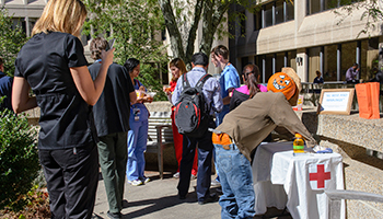 Fall Festival 2016