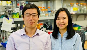 Dr. Ju Chen, recipient of the 2019 AAI Careers in Immunology Fellowship