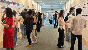 Group Student Presentations