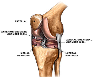 Knee Injuries and Conditions, Figure 1