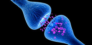 Computer illustration of a synapse, the junction between two neurons.