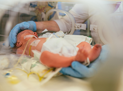 Baby laying in a NICU incubator