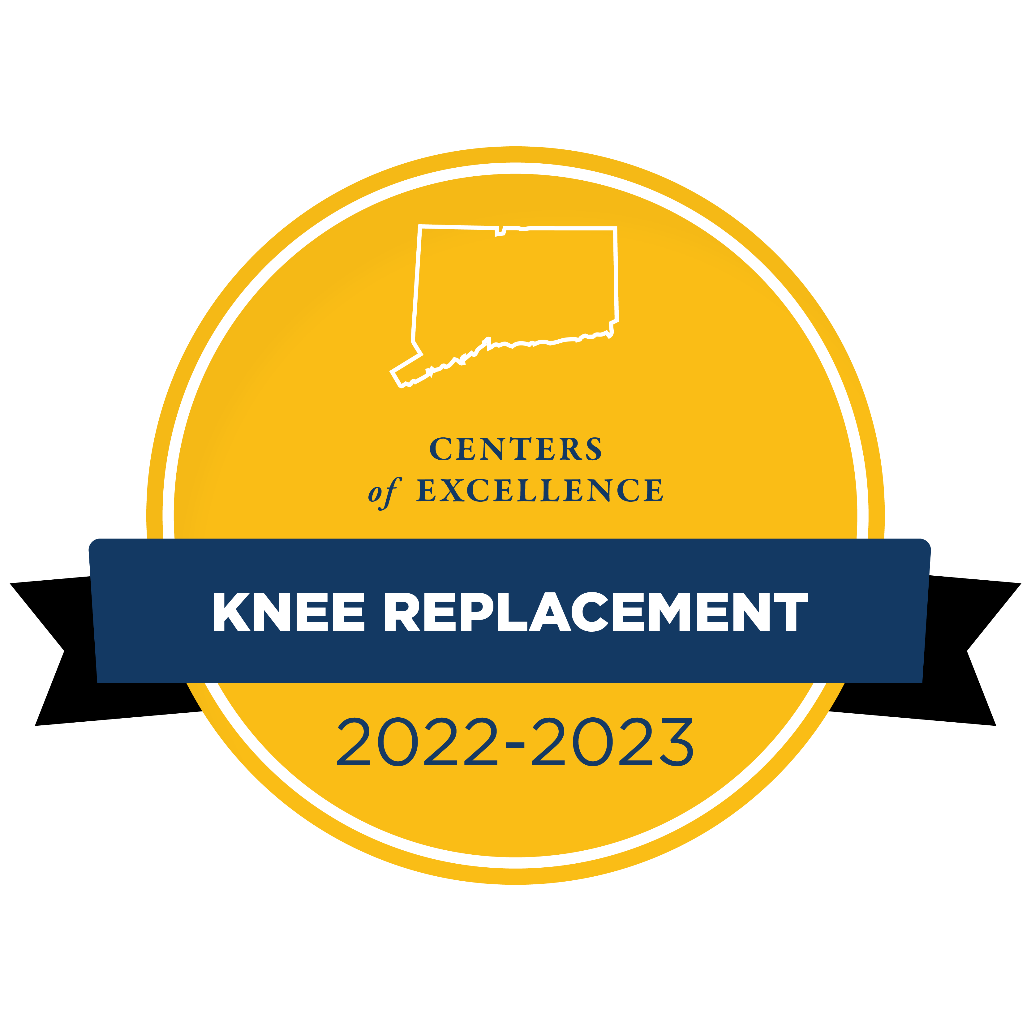 Network of Distinction Knee Replacement badge