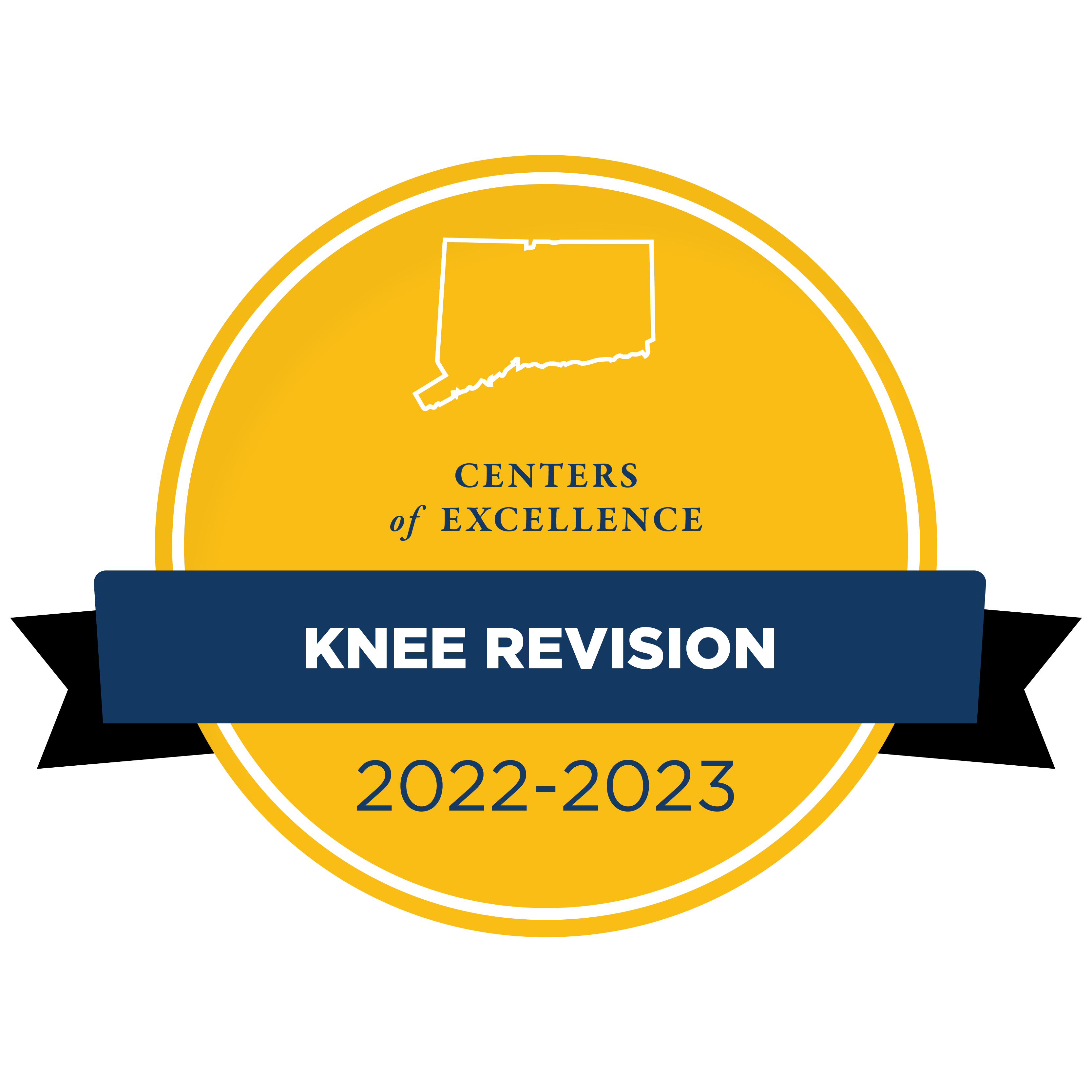 Network of Distinction Knee Revision badge