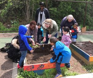 Little City Sprouts photo of young children and adults planting seeds in a raised bed garden plot.