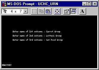 MS DOS Window with our three outcome groups defined: carrot group, lettuce group, and cat food group.