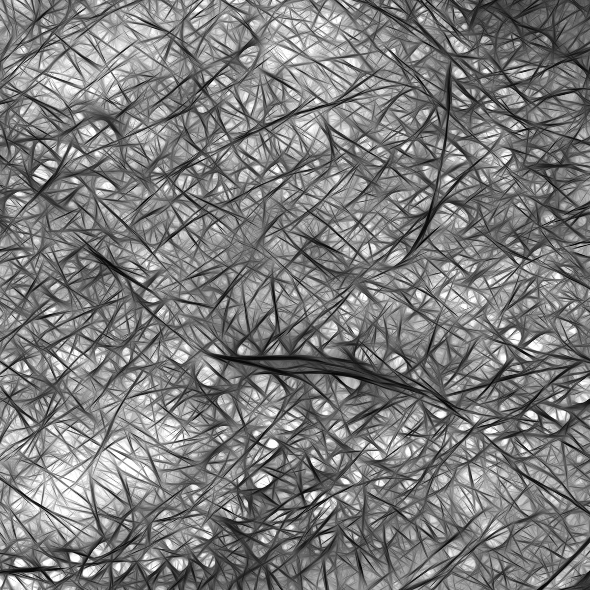 Abstract muscle fibers (Shutterstock)