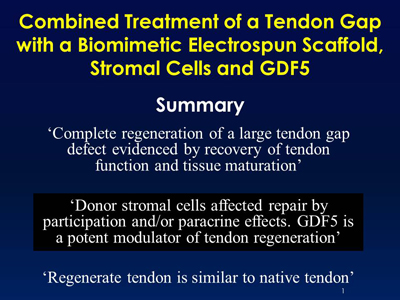 Tendon gap PowerPoint screen