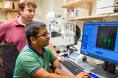 Assistant professor Kshitiz shows Visar Ajeti, a postdoctoral fellow, cells through the microscope on a computer monitor