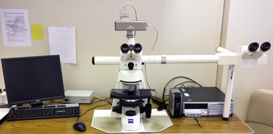 Microscope with Camera