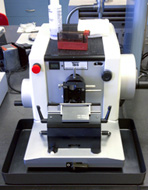 Microtome