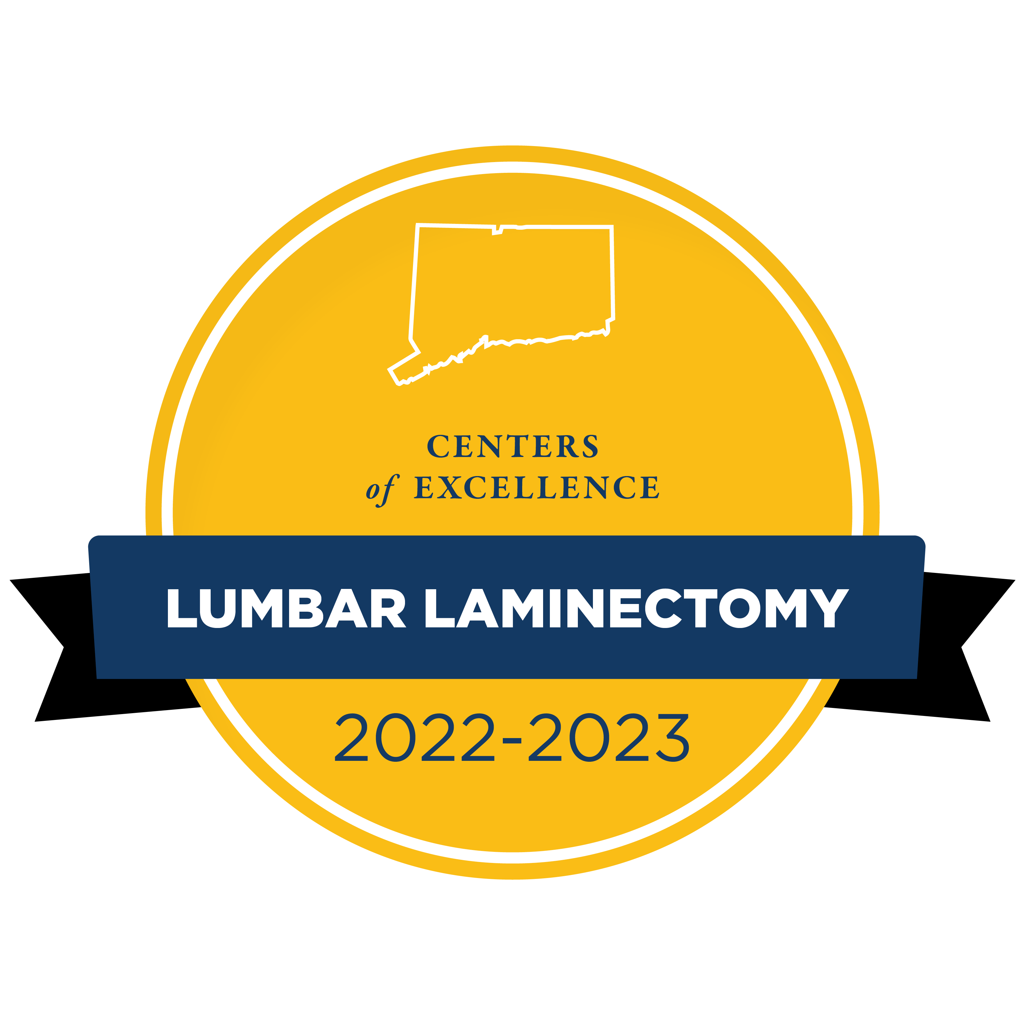 Network of Distinction Lumbar Laminectomy badge