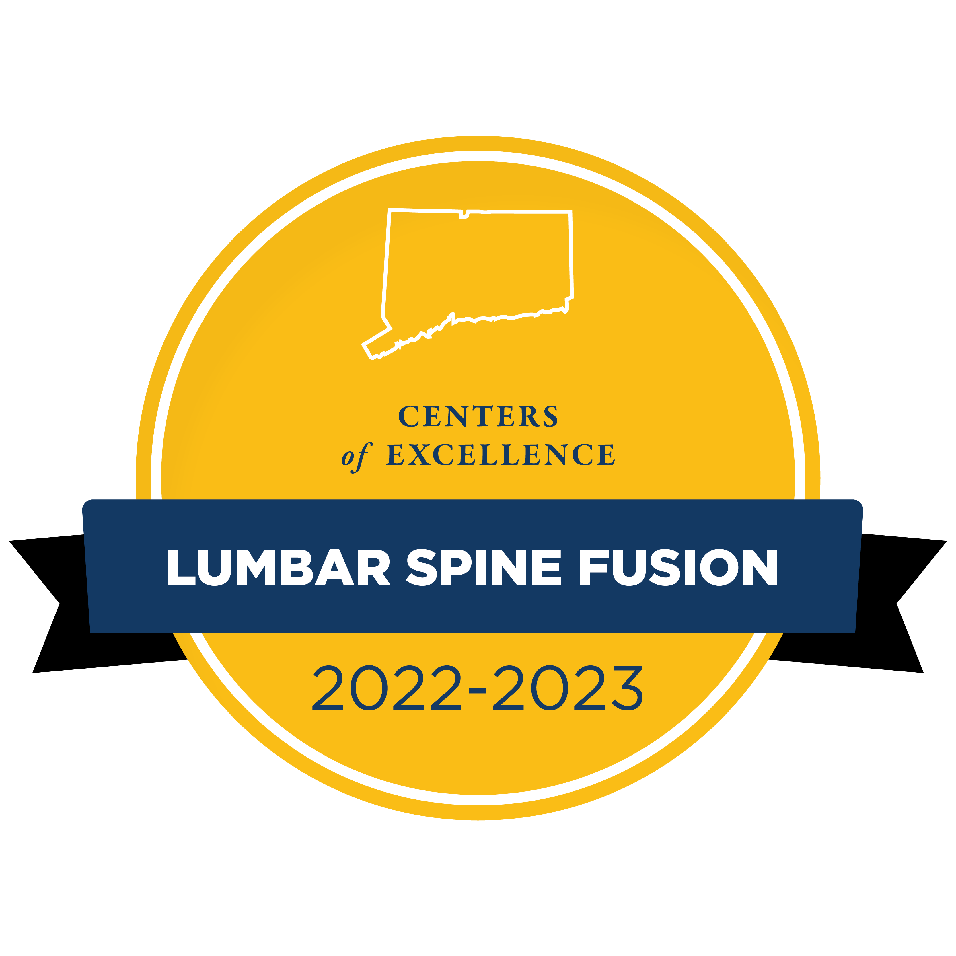 Network of Distinction Lumbar Spine Fusion badge