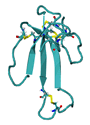 N-terminal DNA-binding domain of XRCC1