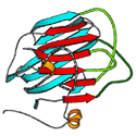 Catalytic domain of gd resolvase