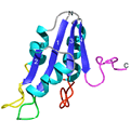 Catalytic domain of gd resolvase