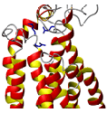 N-terminal DNA-binding domain of DNA polymerase β